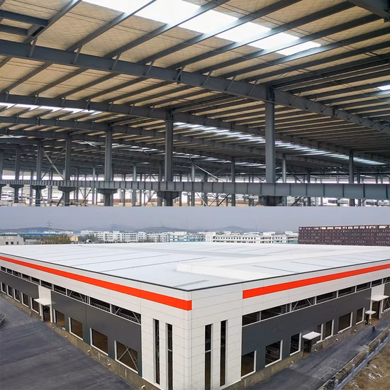 Prefabricated Galvanized/Painted Light Steel Structure Shed Garage