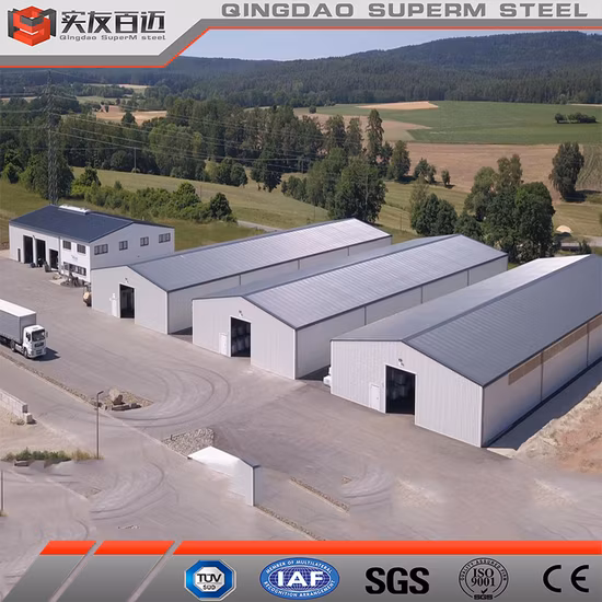 Factory Supply Prefab Steel Structure Warehouse